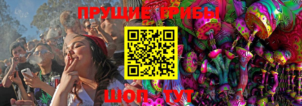 Галлюциногенные грибы Psilocybe  сколько стоит  Нижнекамск  Вход с VPN 